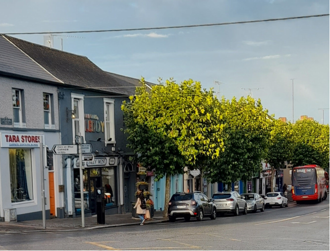 physiotherapy in Wexford